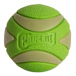 Chuckit Max Glow Ultra Squeaker boll M