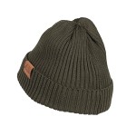 Swedteam Titan Merino Beanie Mössa Mörkgrön